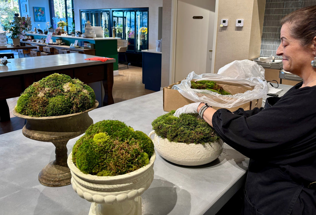 Moss Containters