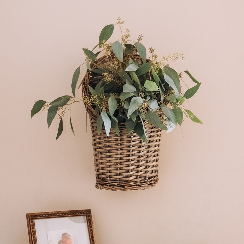 Hanging Wall Baskets