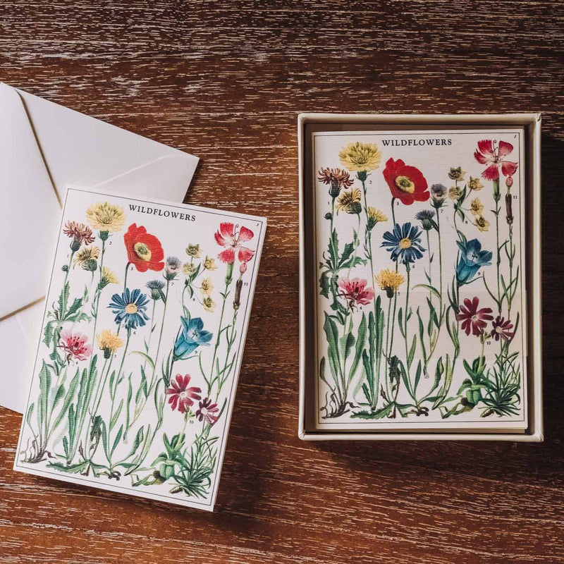 Cavallini Boxed Note Card Set