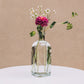 Clear Vintage Vase Collection